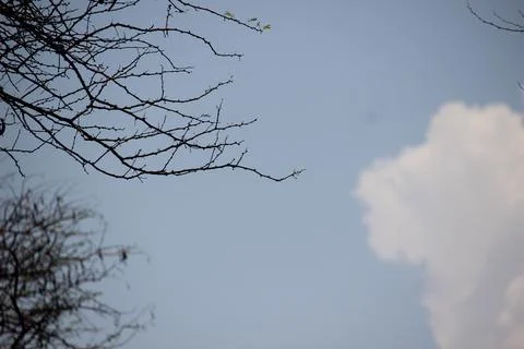 Close up texture of white clouds in the blue sky Stock Photos