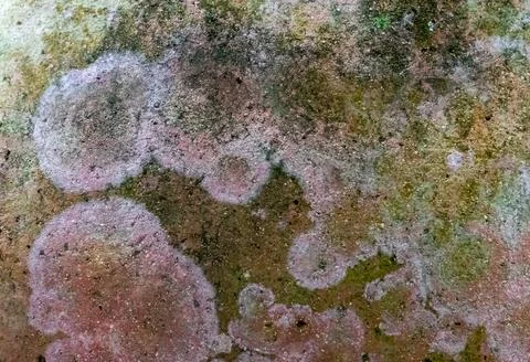 Close-up textured background of clay material pot with black mold Stock Photos