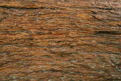 Close-up of a textured brick stone pathway outdoors Stock Photos