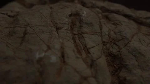 Close-up of textured brown rock with fine cracks. Stock Footage 289549137