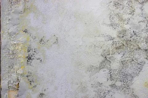 Close-up of textured concrete wall with moss and cracks Stock Photos