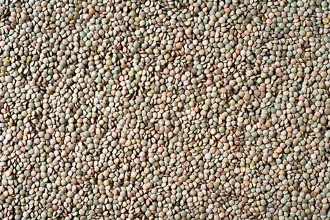 Close-up of textured gray surface with colored dots 写真素材