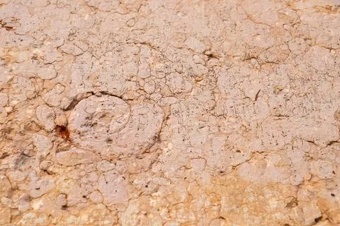 Close-up of textured limestone with a rough, weathered surface, showing pits, Stock Photos