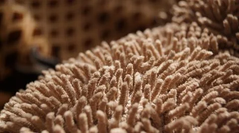 Close-Up of Textured Microfiber Cleaning Cloth Stock Photos