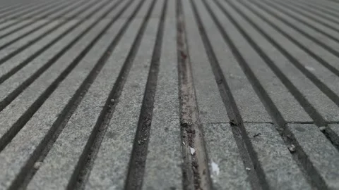 Close Up of Textured Pavement Ground with Small Ant Stock Footage 339646517