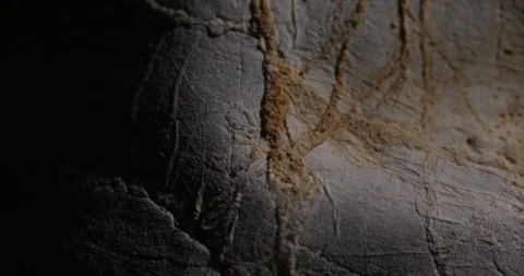 Close-up of Textured Rock Surface with Natural Cracks Stock Footage 289657701