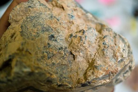 Close-up of a textured rock surface 스톡 사진