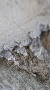Close-up of Textured Rock Surface Stock Photos