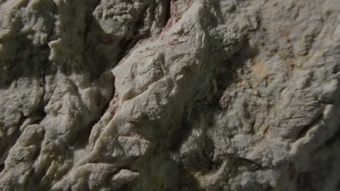 Close-Up of a Textured Rocky Surface with Deep Crevices Stock Footage 289517810