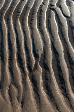 Close-up of textured sand with organic patterns illuminated by soft sunlight. Stock Photos