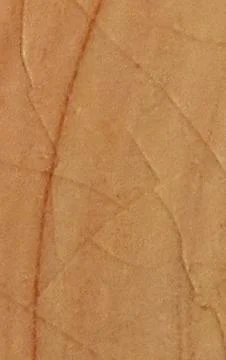 Close up textured surface of aged parchment with linear patterns and subtle.. Fotos Stock