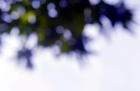 Close up Textures blurred treeline set background Stock Photos