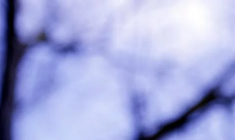 Close up Textures blurred treeline set background Stock Photos