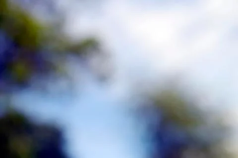 Close up Textures blurred treeline set background Фото