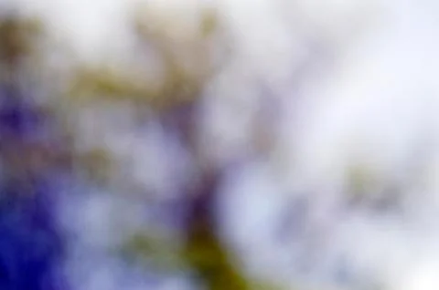 Close up Textures blurred treeline set background Stock Photos