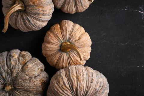Close up Thai pumpkin Stock Photos