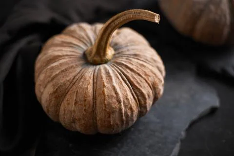 Close up Thai pumpkin Stock Photos