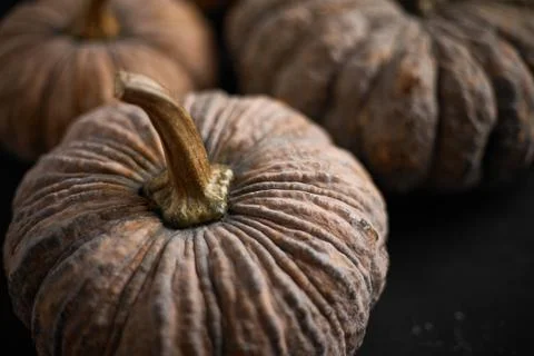 Close up Thai pumpkin Stock Photos