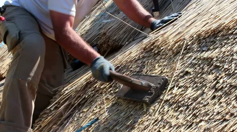Close up on Thatching a roof Stockbeeldmateriaal 37106194