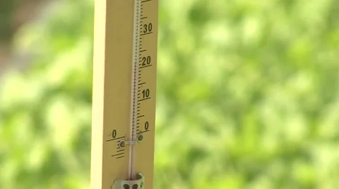 Close-up on thermometer in the greenhouse Stock-Footage 41119813