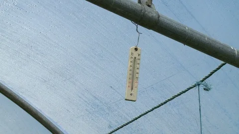 Close up of a thermometer in a greenhouse Stock Footage 118992805