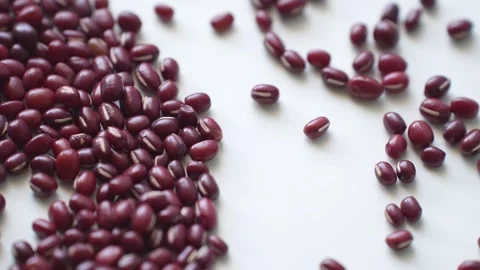 A close-up these nutritious azuki beans are rich in protein Stock Footage 347253082