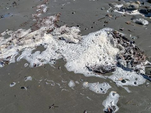 Close-up of thick white foam mixed with rocks and sticks Фото