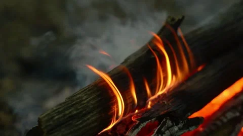 Close-up of thin fiery flames licking a burning log with smoke Stock Footage 341682422