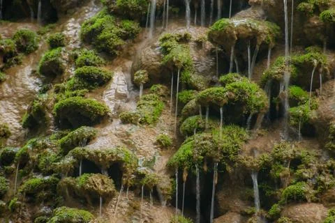 Close-up of thin water streams dripping over mossy brown rocks. Stock Photos