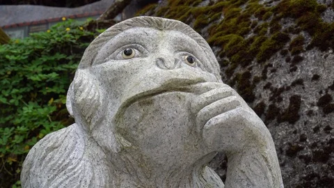 Close up of thinking monkey statue Video stock 91123010