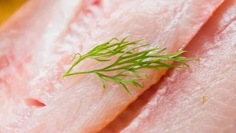 Close up of thinly sliced raw fish with fresh dill garnish Stock Photos
