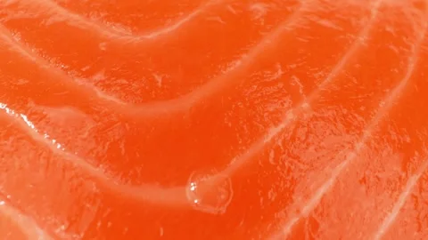 Close-up of thinly sliced salmon. Stock Footage 276689154
