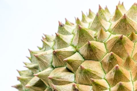 Close up to Thorns of durian Stock Photos