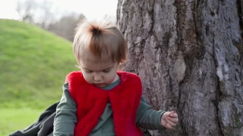 Close Up Thoughtful Toddler by Tree Trunk in Park Serbia Stock Footage 331127285