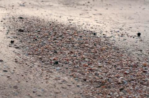 Close up of thousands of tiny shells on the beach Stock Photos