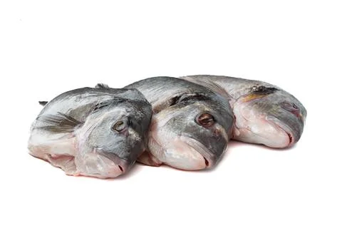 Close-up of three cleaned dorado fish on white background. Stock Photos