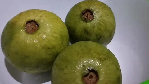 Close-Up of Three Green Crystal Guavas Showing Their Fruit Tips Stock Footage 229249074