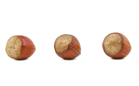 Close-up of three hazelnuts Stock Photos