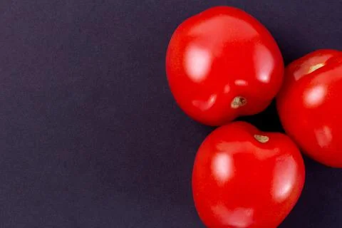 Close-up three red tomatoes on a dark texture surface with space to copy Stock Photos