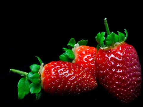 CLose-up of three strawberries on a black background Stock Photos