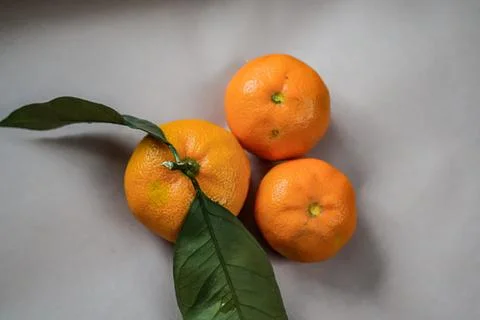 Close-Up of Three Tangerines with Leaf on Beige Background Stock Photos