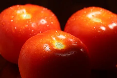 Close up of three tomatoes with water on surface Foto stock