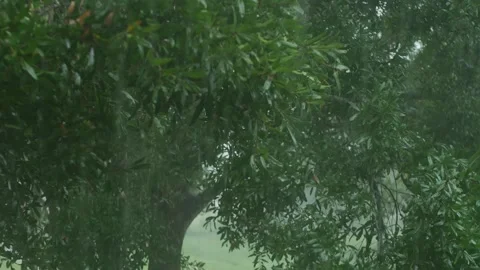 Close up through the window of heavy wind and rain falling through green trees b Stock Footage 284558635