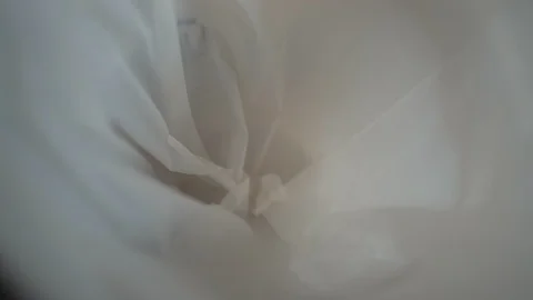 Close up throw tissue paper in bin on down view  Vídeo Stock 122876063