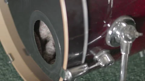 Close Up of Thumping Bass Kick Drum Head - Shallow Depth of Field Stock Footage 142055104