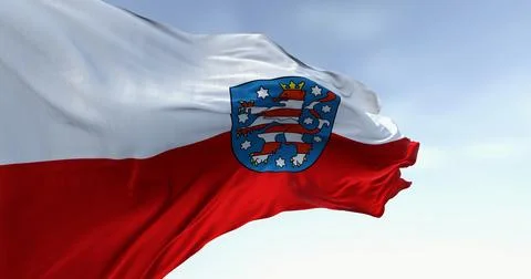 Close-up of Thuringia flag waving in the wind Illustrazione stock