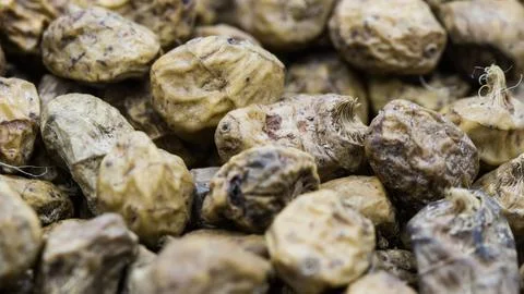 Close up of Tiger Nuts Stock Photos