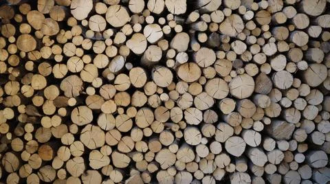 Close-up of tightly stacked cut logs forming a natural wood texture Stock Photos