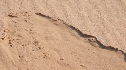 Close tilt shot of wave of sand eating its way up a dune Stock Footage 76935829