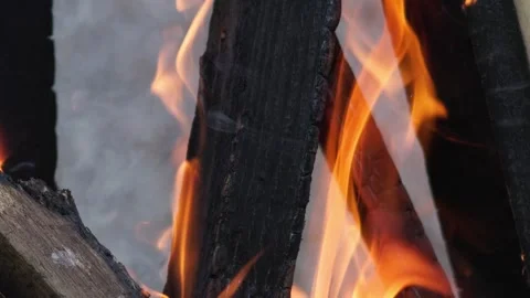 Close Up, Timber Fuelled Fire with Glowing Embers and Flickering Motion Stock Footage 342294522